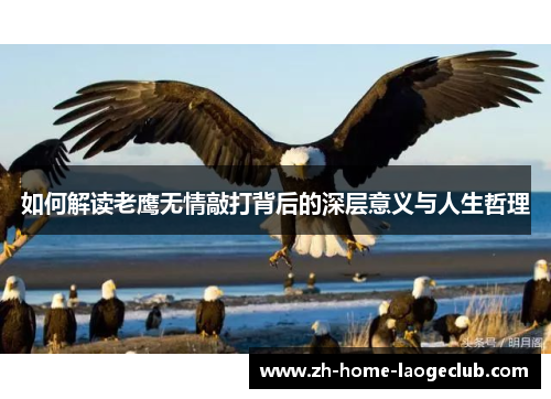 如何解读老鹰无情敲打背后的深层意义与人生哲理