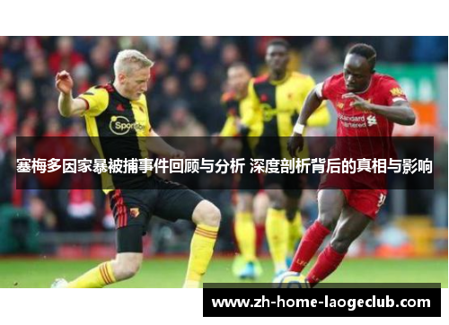 塞梅多因家暴被捕事件回顾与分析 深度剖析背后的真相与影响