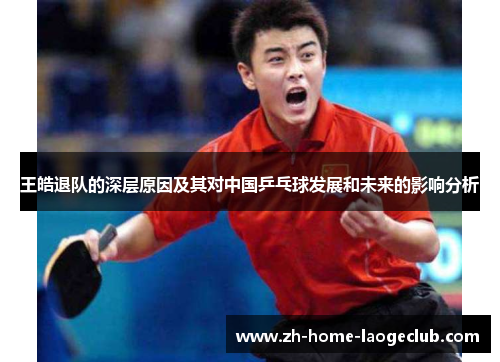 王皓退队的深层原因及其对中国乒乓球发展和未来的影响分析 王皓退队的深层原因及其对中国乒乓球发展和未来的影响分析