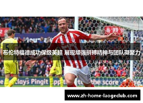 布伦特福德成功保级英超 展现顽强拼搏精神与团队凝聚力 布伦特福德成功保级英超 展现顽强拼搏精神与团队凝聚力