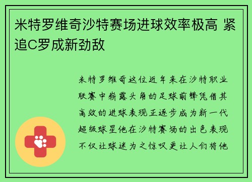 米特罗维奇沙特赛场进球效率极高 紧追C罗成新劲敌 米特罗维奇沙特赛场进球效率极高 紧追C罗成新劲敌